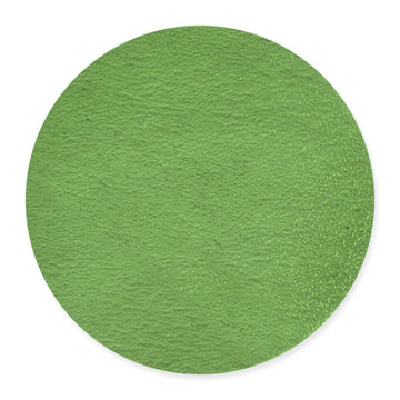 Bullseye Glass Circle: 3mm Light Green 1107 (20cm) - Warm Glass