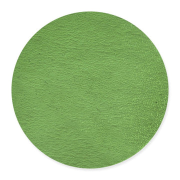 Bullseye Glass Circle: 3mm Light Green 1107 (20cm) - Warm Glass
