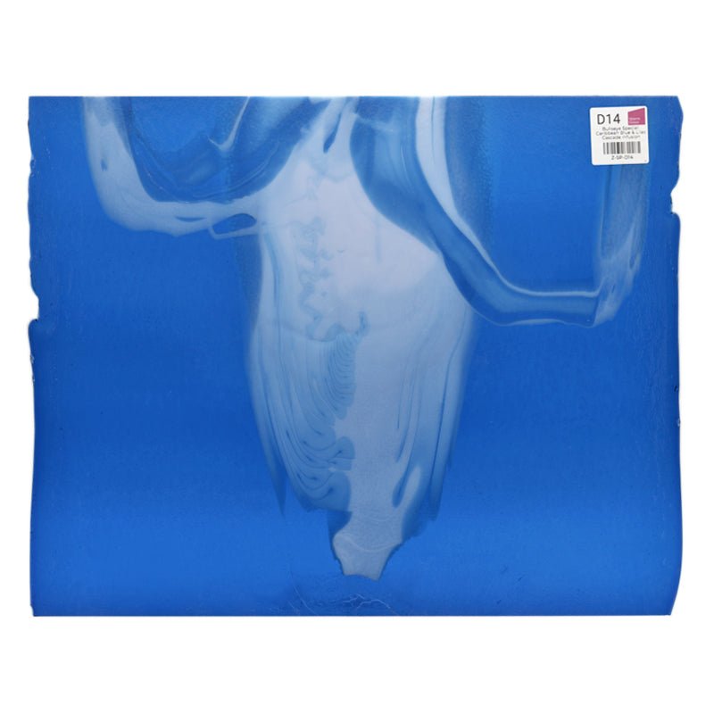 Bullseye Special: Caribbean Blue & Lilac Cascade Infusion - Warm Glass