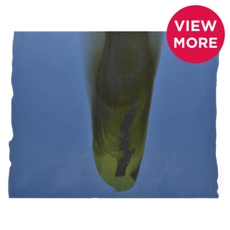 Bullseye Special: Periwinkle, Grey Opal & Pea Pod Green Cascade - Warm Glass