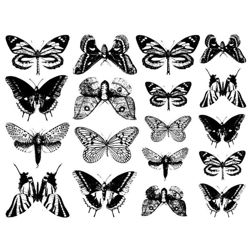 Butterfly Milestone Decal 13.3cm x 10cm - Warm Glass