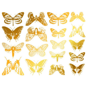 Butterfly Milestone Decal 13.3cm x 10cm - Warm Glass