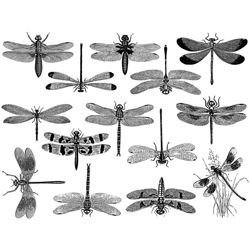 Dragonflies Decal 13.3cm x 10cm - Warm Glass