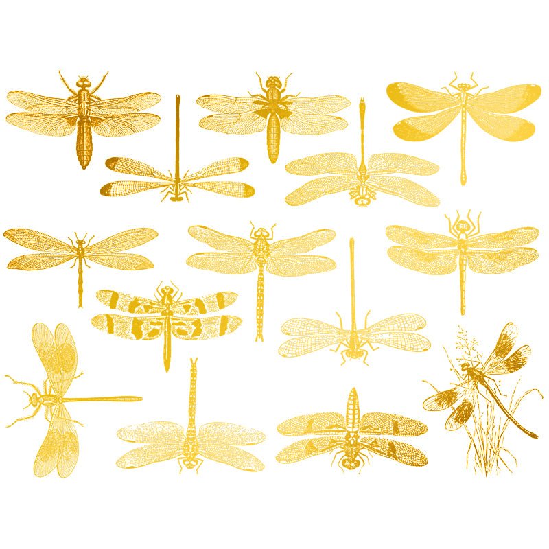 Dragonflies Decal 13.3cm x 10cm - Warm Glass