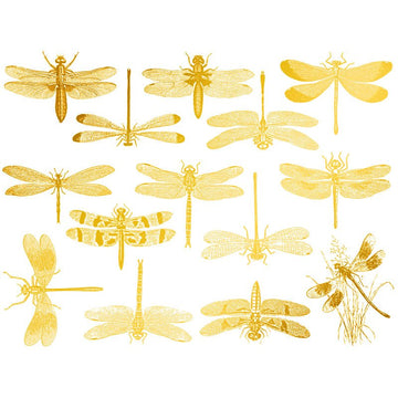 Dragonflies Decal 13.3cm x 10cm - Warm Glass