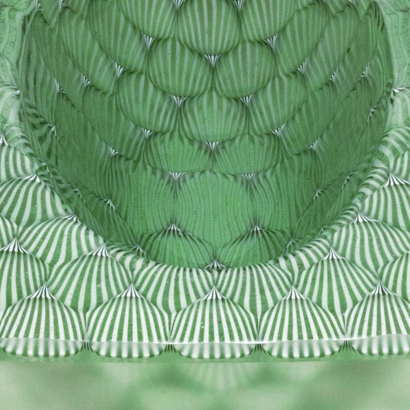 eBook - Optic Topics: A New Angle Book 3 - Warm Glass