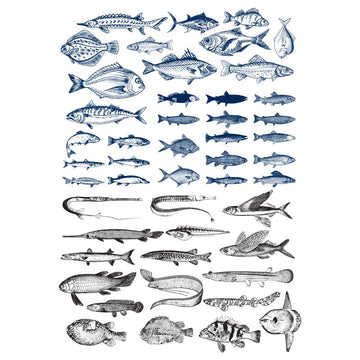 Fish Decal 10 x 14.5cm (Lead Free) - Warm Glass