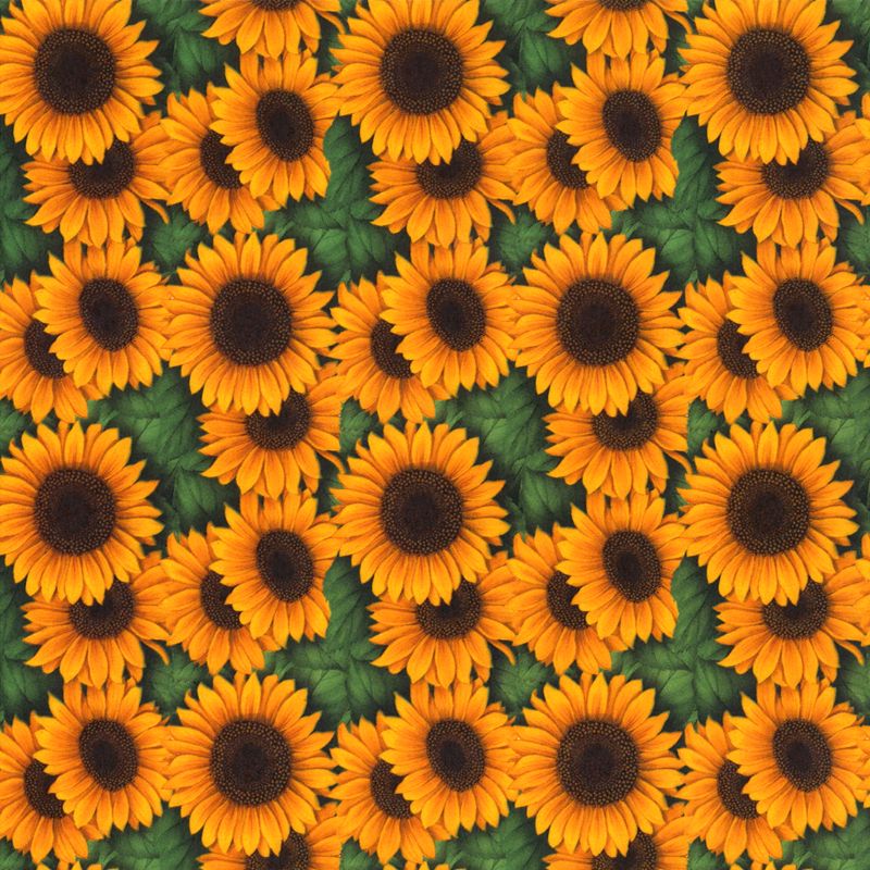 Sunflower Decal 22 x 22cm - Warm Glass