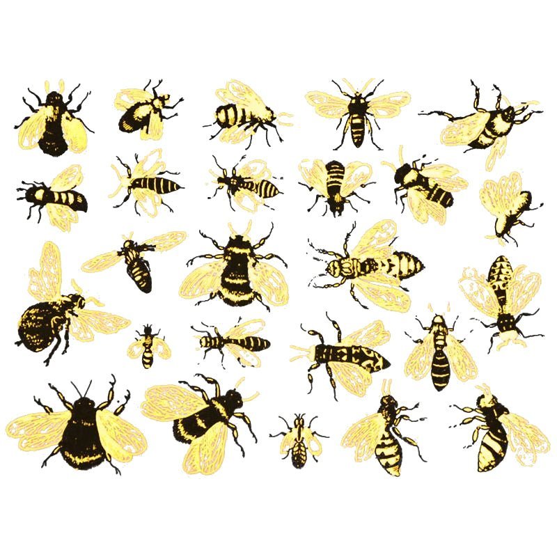 Two Colour Vintage Bees Decal 13.3cm x 10cm - Warm Glass